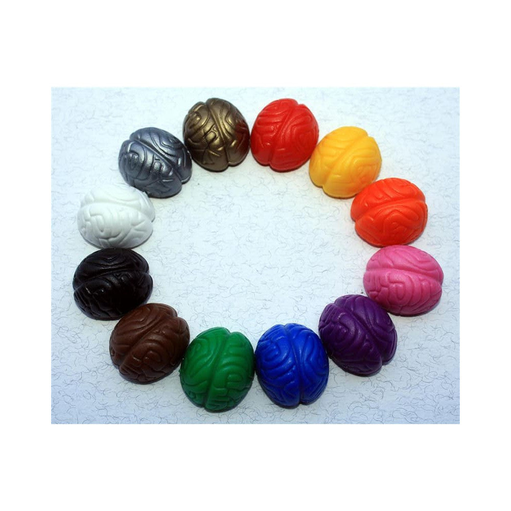 Neodym Magnet-Set "Crazy Brain" (12er Set, Gehirn-Set bunt)