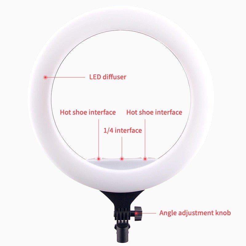 14" LED Ring Light Photographic Selfie Ring Lighting with Stand for Smartphone Youtube Makeup Video Studio Tripod Ring Light - wirbe-welt.shop