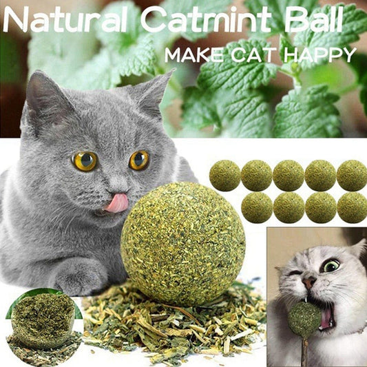 Katzen Spielzeug zum Kauen und Beißen - Katzenminze für den Stubentiger - wirbe-welt.shop