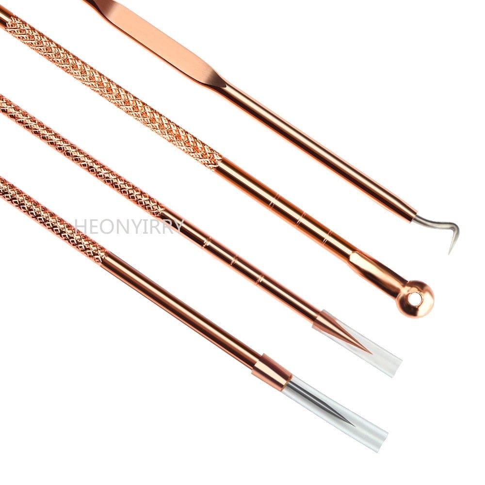 4PCS Acne Blackhead Comedone Black Spot Pimple Blemish Remover Skin Care Women Beauty Acne Treatment Pore Cleanser Needle Hook - wirbe-welt.shop