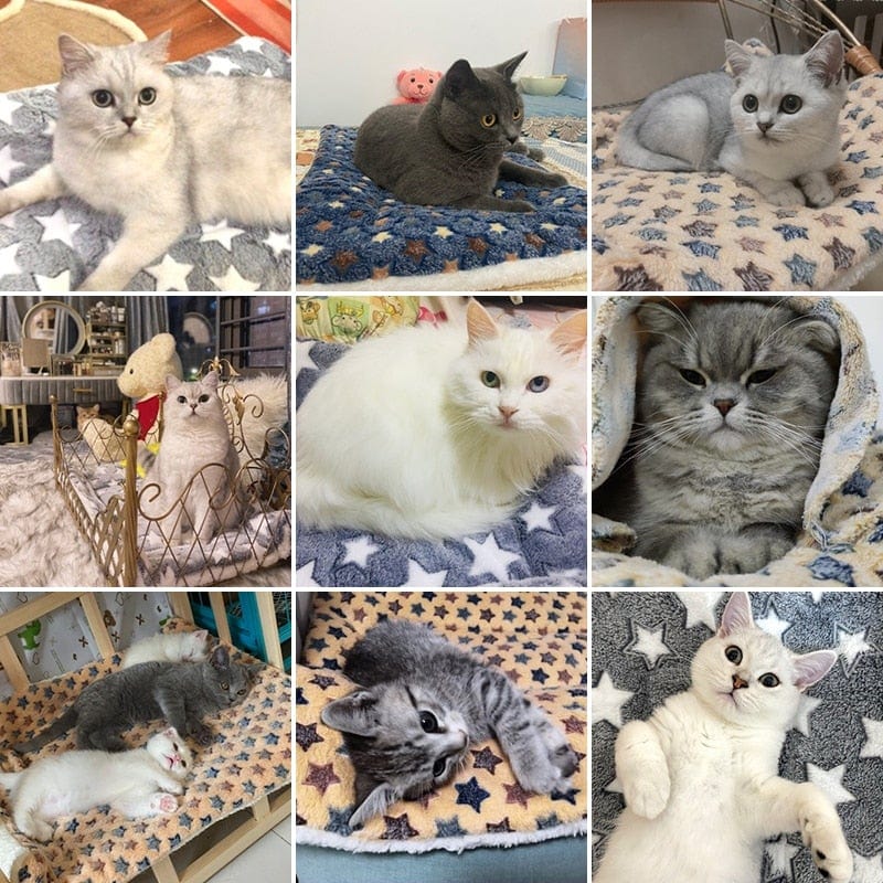 Plush Dog Cat Mat Soft  Blanket Dog Pet  Blanket Bed Accessories Pet Supplies Keep Warm In Winter Soft Pet Soft Blanket - wirbe-welt.shop