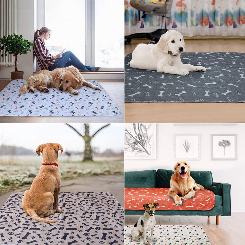 Reusable Pet Urine Pad Washable Dog Cat Diaper Mat 3 Layer Absorbent Dogs Diapers Pads Bone Paw Print For Sofa Bed Floor - wirbe-welt.shop