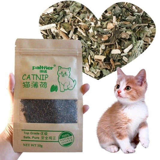 Organische Katzenminze, Katzengras getrocknet zur Zahnreinigung ihrer Katze - wirbe-welt.shop