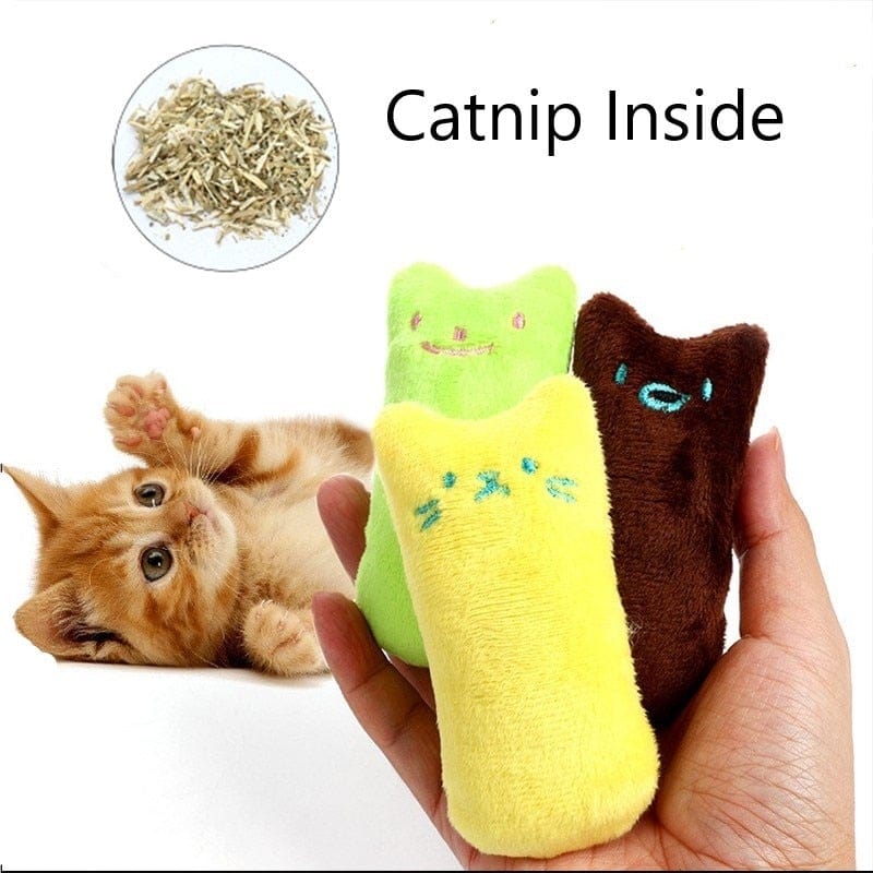 Jagt-Instinkt Katzen Spielzeug in lustigen Farben - wirbe-welt.shop