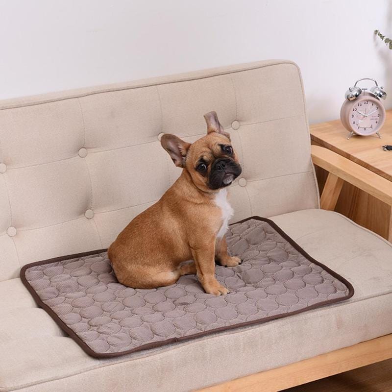Dog Mat Cooling Summer Pad Mat For Dogs Cat Blanket Sofa Breathable Pet Dog Bed Summer Washable For Small Medium Large Dogs Car - wirbe-welt.shop