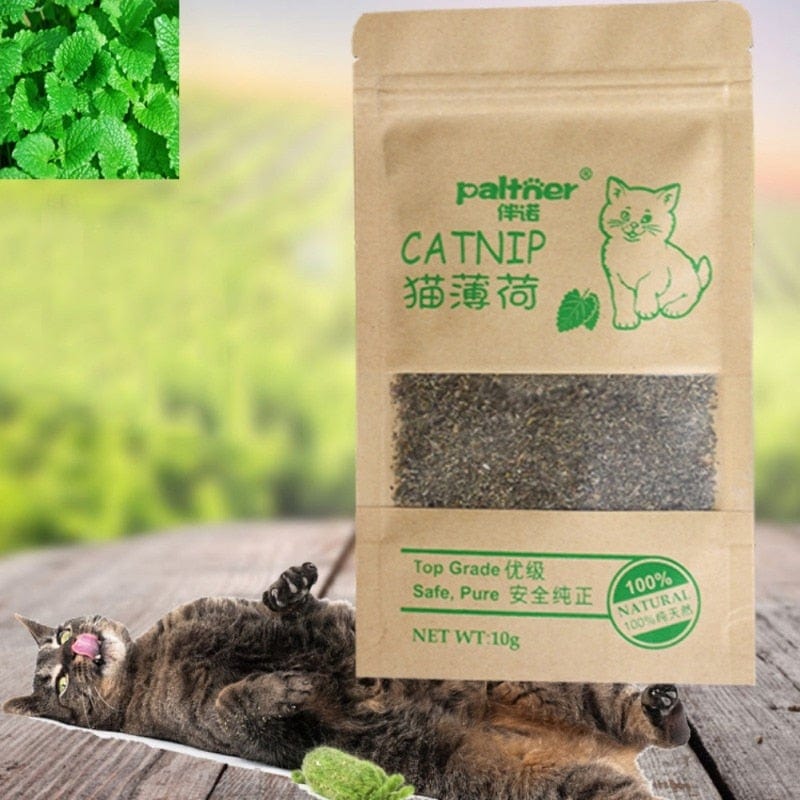 Organische Katzenminze, Katzengras getrocknet zur Zahnreinigung ihrer Katze - wirbe-welt.shop