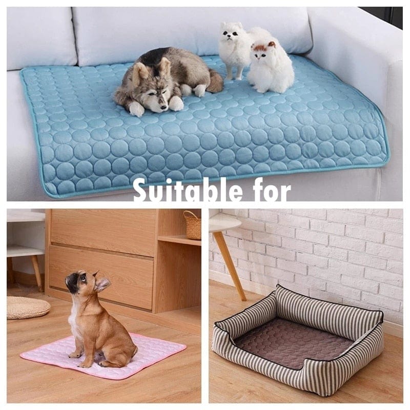 Kühlende Hundedecke - auch für kleine Hunde oder Katzen - wirbe-welt.shop