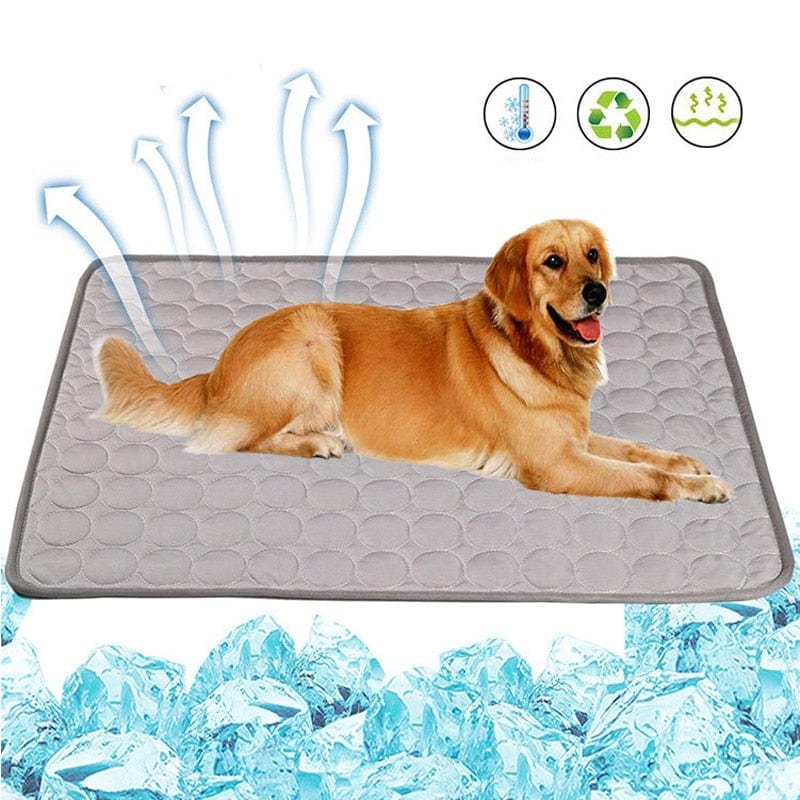 Kühlende Hundedecke - auch für kleine Hunde oder Katzen - wirbe-welt.shop