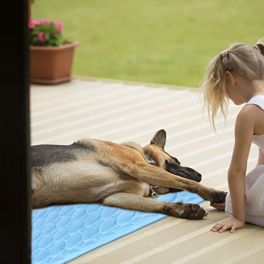 Washable Summer Cooling Mat for Dogs Cats Kennel Mat Breathable Pet Crate Pad Cusion Sleep Mat Pet Self Cooling Mat - wirbe-welt.shop