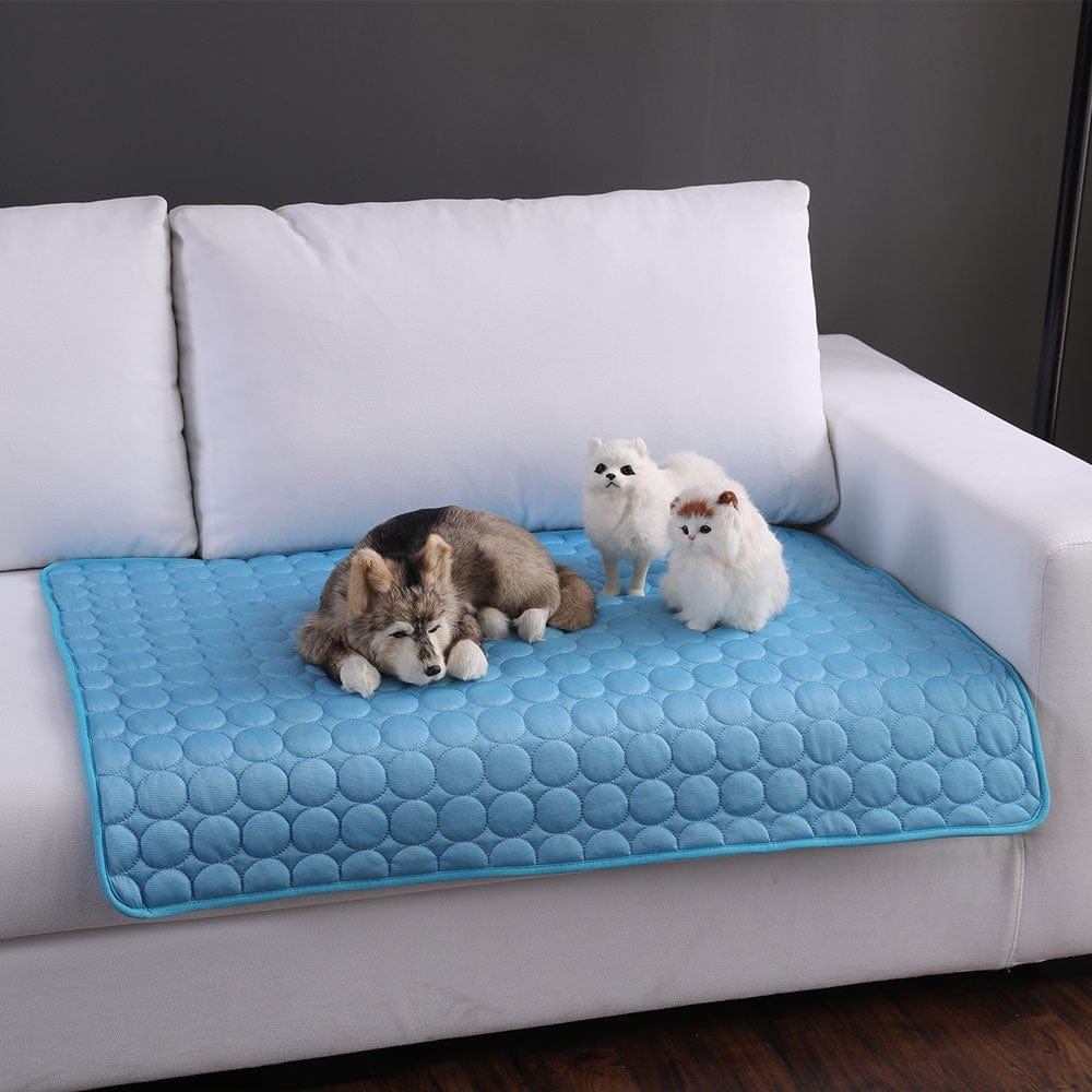 Kühlende Hundedecke - auch für kleine Hunde oder Katzen - wirbe-welt.shop