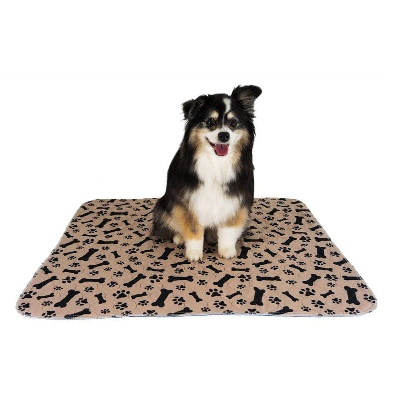 Dropshipping Waterproof Reusable Dog Bed Mats Dog Urine Pad Puppy Pee Fast Absorbing Pad Rug for Pet Sleep Soft Carpet Blanket - wirbe-welt.shop