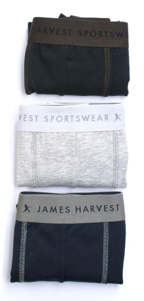 NORTHEASTERNS - wirbe-welt.shop