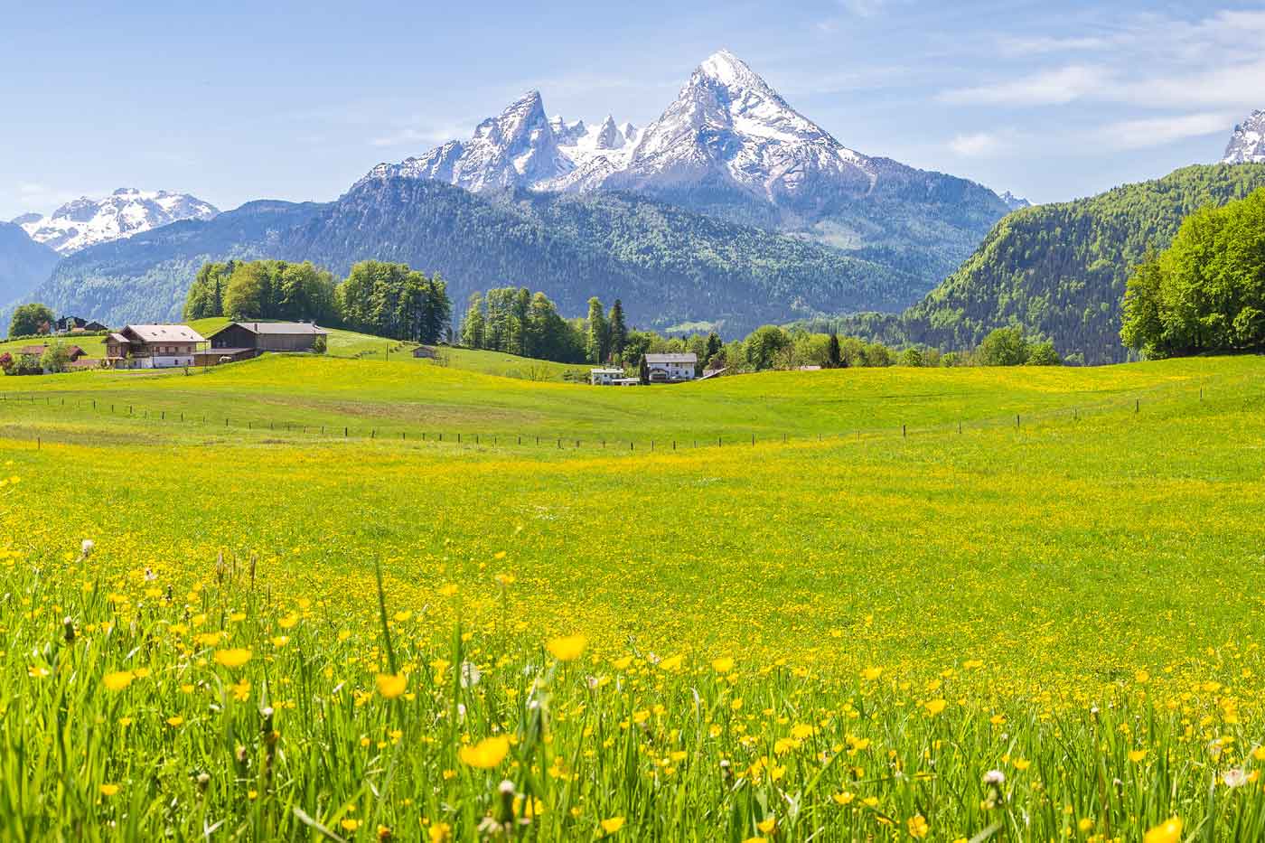 Schweizer Qualitätsprodukt, 100% natürlich mit Kräuter aus den Walliser Alpen